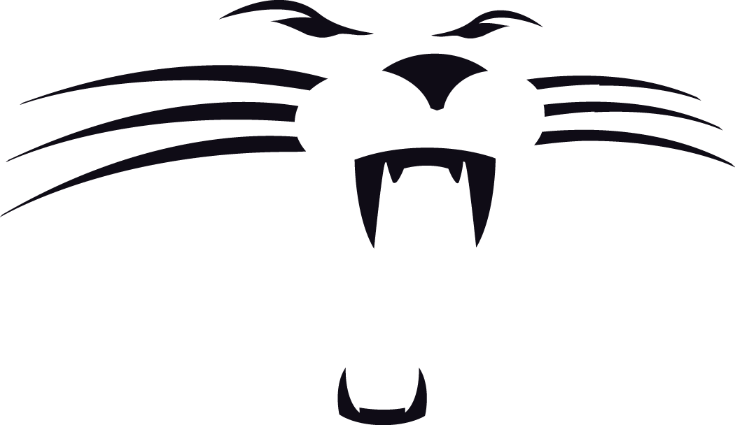 Carolina Panthers 1995-2011 Alternate Logo fabric transfer version 2